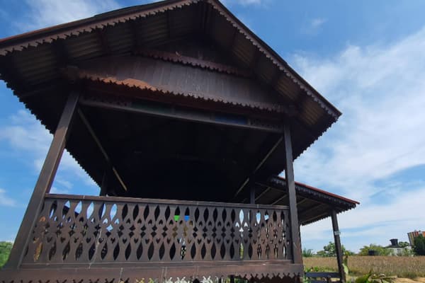 Sky Ladder Pineapple Farm